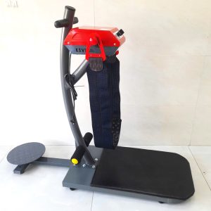 Máy Rung Giảm Mỡ Bụng Đứng Queen Pro New-Mẫu Mới Có Điều Chỉnh Tốc Độ